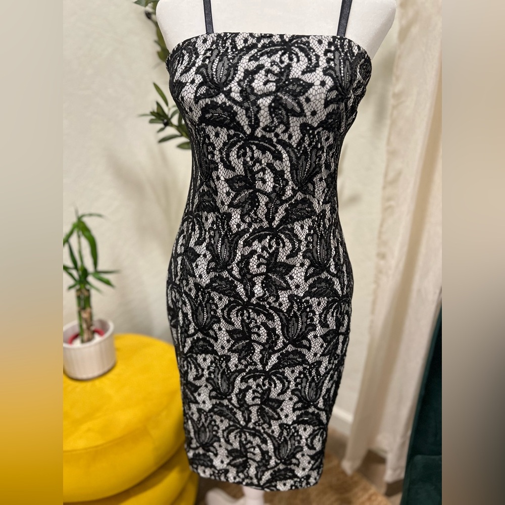 Brand New With Tag Cache Elegant Black and White Lace Midi Dress